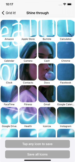 Iconize Icons Screenshot